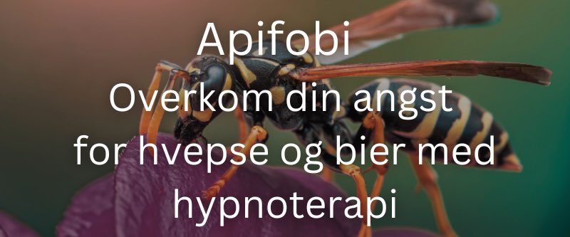 Hypnose-Apifobi