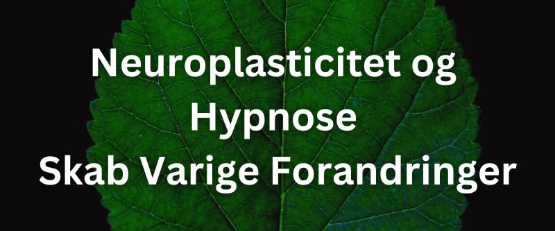 Neuroplasticitet og Hypnose – Skab Varige Forandringer