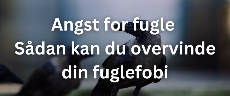 Angst-for-fugle